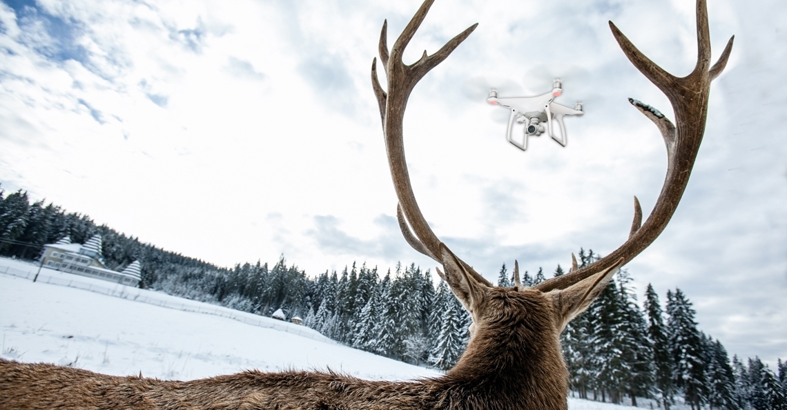 1488284869-drone-eland-schrik-paniek-stress-david-smart-dronepiloot-amerika-boete-2017.jpg