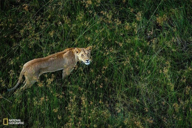 national-geographic-photo-contest-2015-chris-schmid