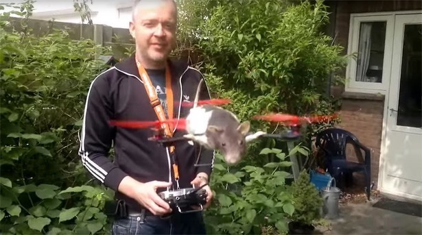 ratcopter-drone-haat-liefde-arjen-beltman-bart-jansen-ostrichcopter-2015